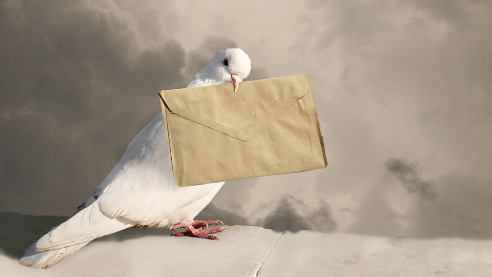 Pigeon delivering mail.